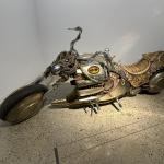 Peterson2023_091 (July 30, 2023)